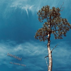 Phylo