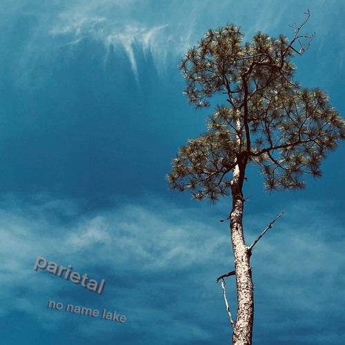 Phylo