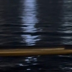 Forever - Elgvilleda