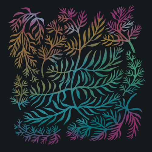 Tom Day & Jake Lowe - Fractals