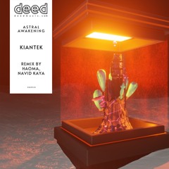 Astral Awakening (Navid Kaya Remix)