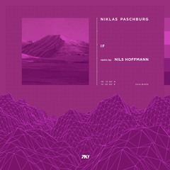 Niklas Paschburg - If (Nils Hoffmann Remix)
