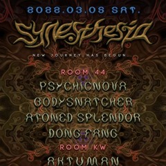Dongfang - Synesthesia at shanghai 44kw