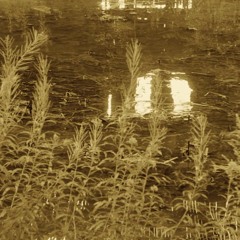 Kim Like the Great Gatsby/Breakfast in a Bowling Alley in Utica, New York