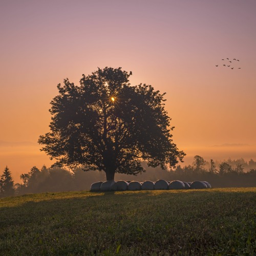 Nhạc Chill 3 - Playlist Dành Cho Quán Cafe