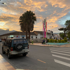 timido
