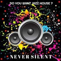Never Silent - Do You Want Jazz House ? (Extended Instrumental EQ)