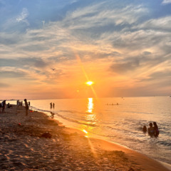 LIVE JUNGLE SET JOAO wav