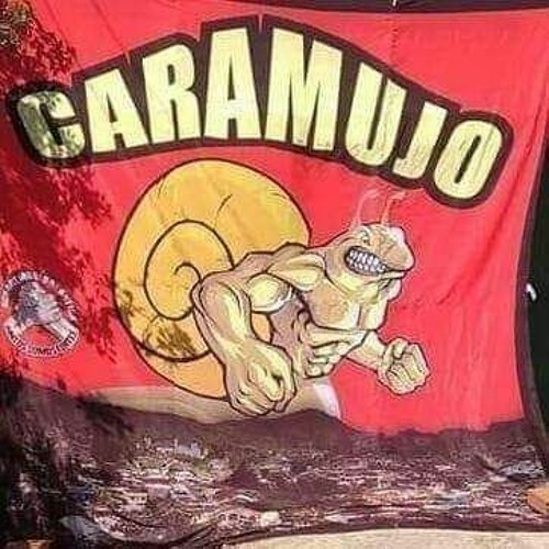 FUZUE COM OS CRIA DO CARAMUJO [DJ RHUANZINHO OFICIAL O MLK SINISTRO]