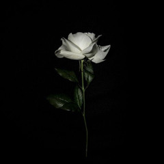 Young Love? (prod. Daisy)