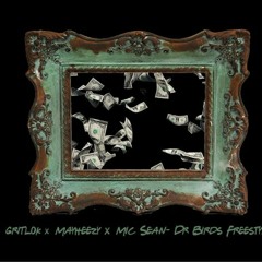 Dr - Birds... Regime Mix