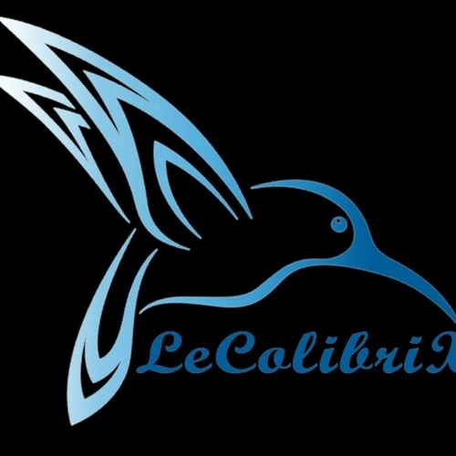 Mix des Remix 2021 Part @7 by LeColibriX