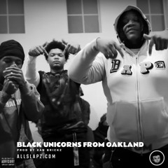 black unicorns from oakland - younginsosleaze, chaibenjii4, 22nd jim, allblack, bay area type beat