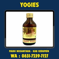 0831-7239-7127 ( YOGIES ), Madu Nusantara Kab Kebumen