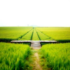 Dj.DamianR - Bracia