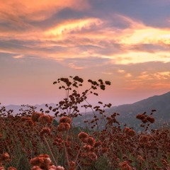 LUH KEL X LIL XAVY ~ FOREVER (PROD. @PRODBYCRUSTY)