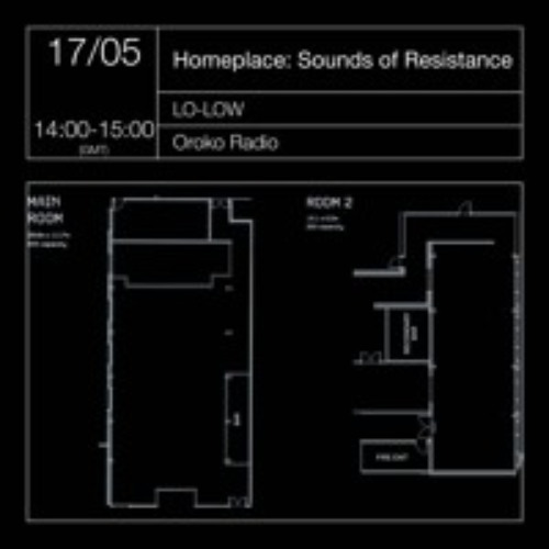 SPACE BLACK - Homeplace: Sounds of Resistance: LO-LOW (Full Mix)