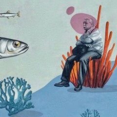 Disco & Funky House (October 2024)