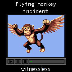 Flying monkey incident