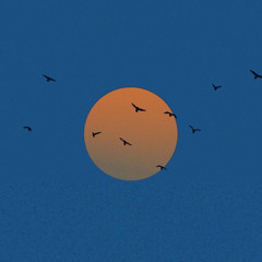 Tere Bina Jeena - Bin Roye - Rahat Fateh Ali Khan - New song 2015mp3.mp3