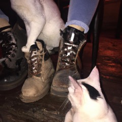 Boots And Cats