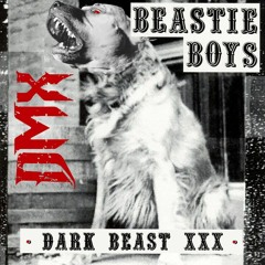DarkBeastXXX - So Whatcha Bitches Really Want (Beastie Boys/DMX mashup)