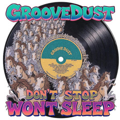 DONT STOP WONT SLEEP (GrooveDust Flip)