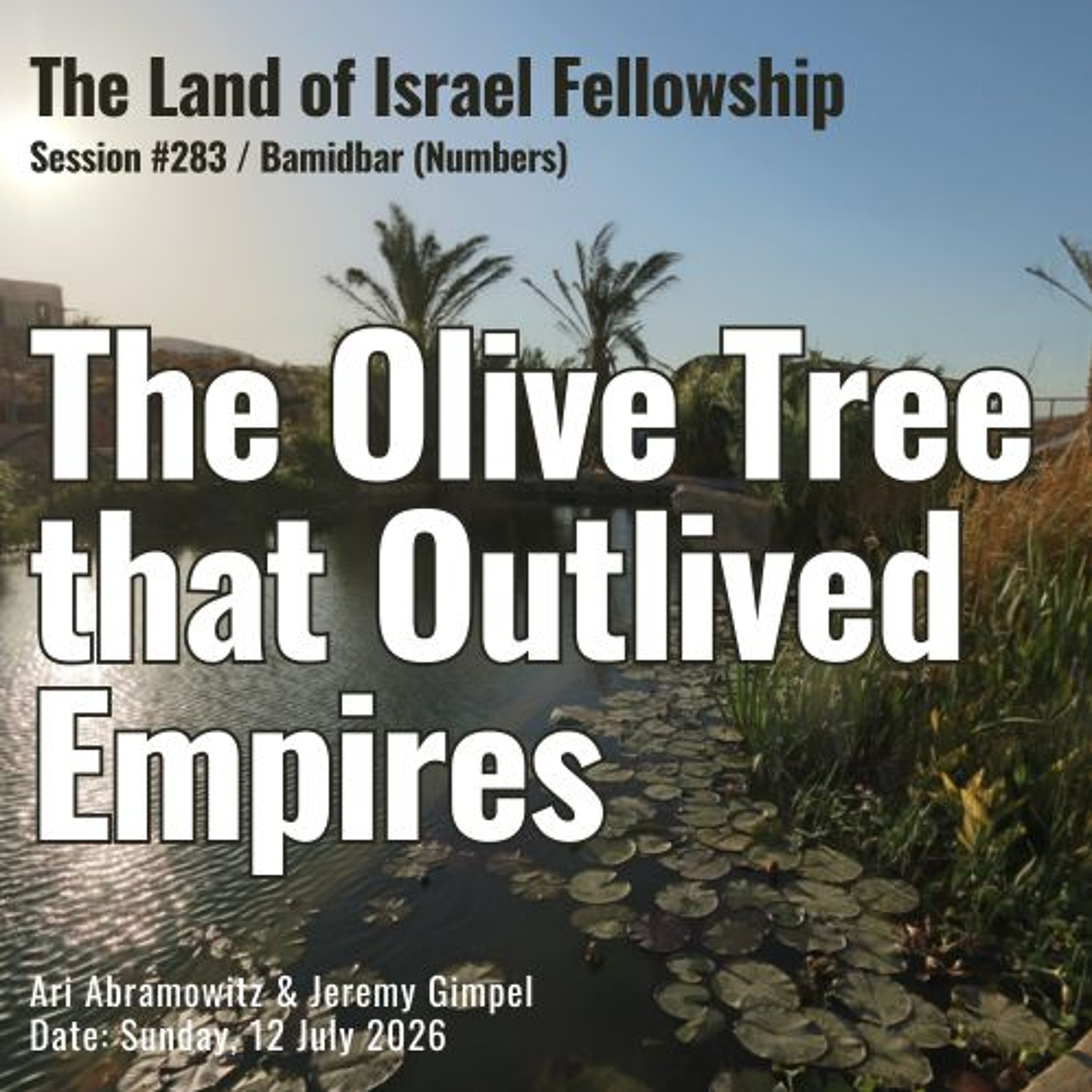 The Olive Tree That Outlived Empires (Matot/Masei) | Land of Israel Fellowship episode artwork