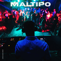 Maltipo
