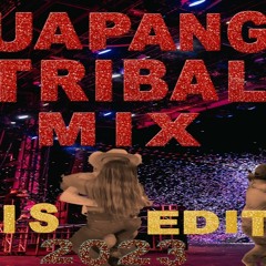 HUAPANGO TRIBAL MIX 2023 MIS EDICIONES BY DJ MAGIC MIKE MTY