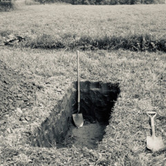 6 FT DEEP – CHUCK MISH