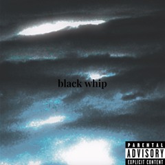 black whip
