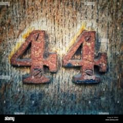 4 4