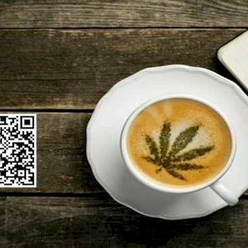 “A BASIC GUIDE TO THC-INFUSED BEVERAGE PASTEURIZATION”