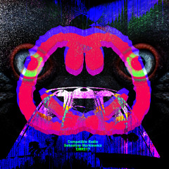 CMR217 - Sebastian Markiewicz - NFT