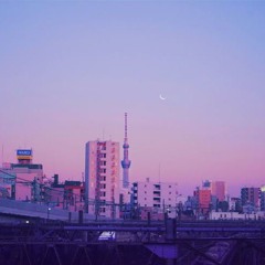 evon sofly-fly-1.wav