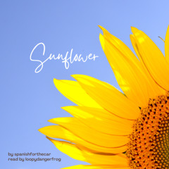 Sunflower by spanishforthecar