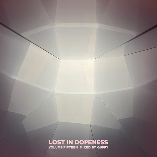 Lost In Dopeness Volume Fifteen