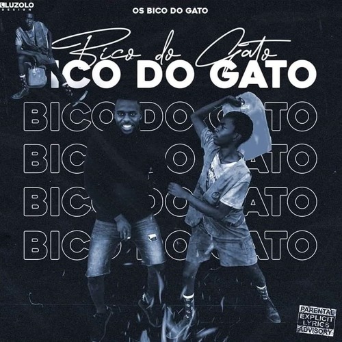 Stream Bico Do Gato by Novo Miller 🌍 Bizzyd | Listen online for free on ...
