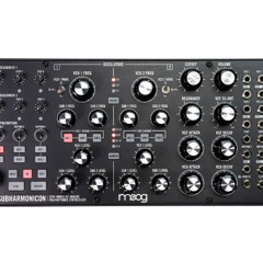 ELEKTRON CYCLES & MOOG SUBHARMONICON & DFAM - RATS GO TO IBIZA