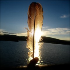 ZAZEN w/VOIDER (prod.VOIDER) FLWRMOON