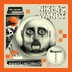 PREMIERE: Niklas Wandt - Wandt Uncorked (PUCA004)