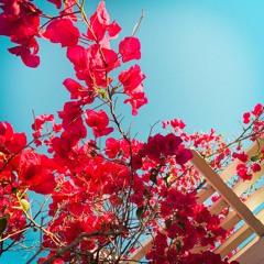 SPRING // SUMMER '21 MIXTAPE VOL I