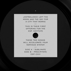[ESP113] JDOTBALANCE - Sublimate b/w Precipitate - 12" Vinyl/Digital