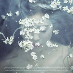 아이린 (IRENE) - Like A Flower