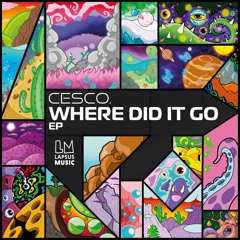 Where Did It Go - EP [LAPSUS MUSIC]