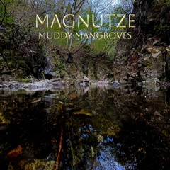 Magnutze - Muddy Mangroves (Original Mix)