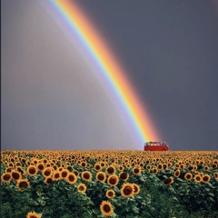 Car Ride EP69 Feelgood wubs (Phrva, Lucky, Westwood, Tape B, Dirtysnatcha, Flozone, and more!)