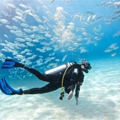 Review Special Price Fullday Diving Experience For Beginners No License