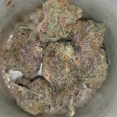 PANGEIA - DANKALATO CRISTAL